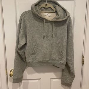 Aritzia Heather Grey Cropped Hoodie